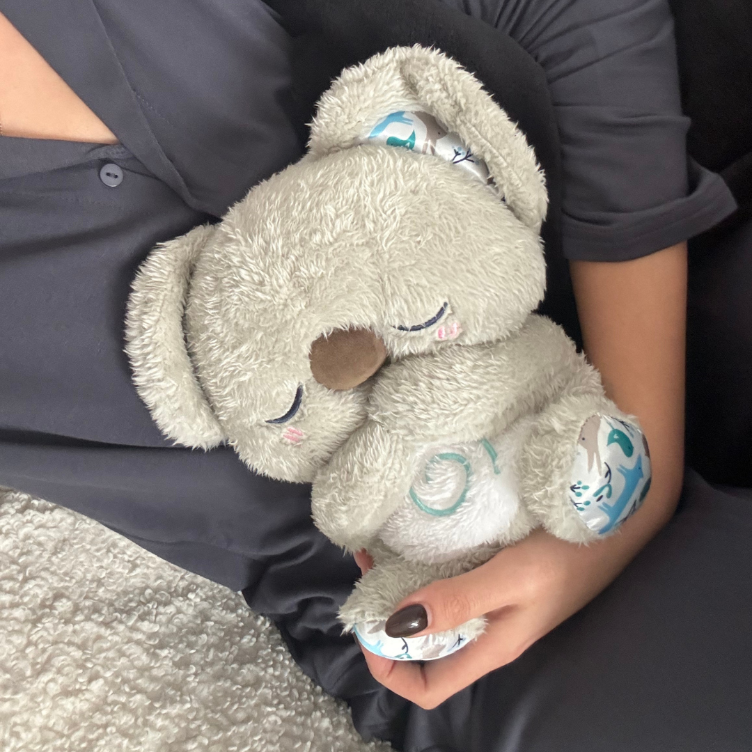 Archie the Koala