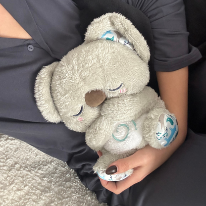 Archie the Koala