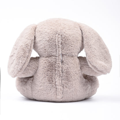 Hops the Rabbit
