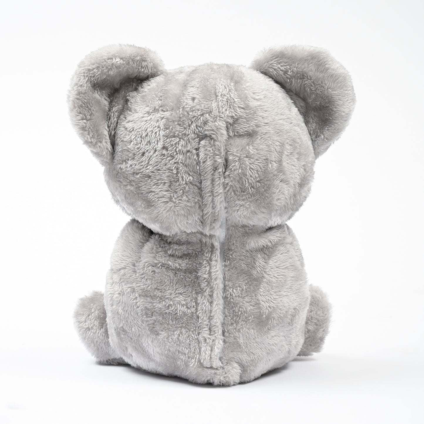 Archie the Koala