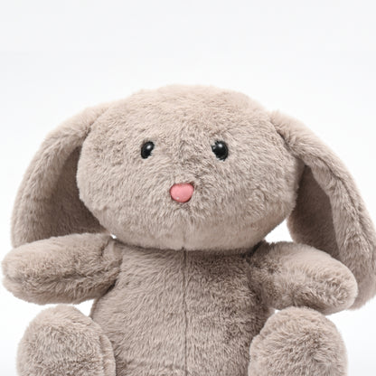Hops the Rabbit