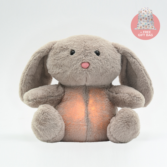 Hops the Rabbit
